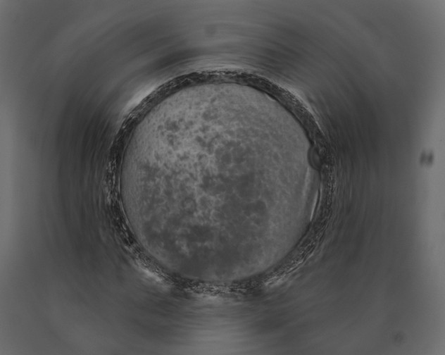 X0000090460871200708031239