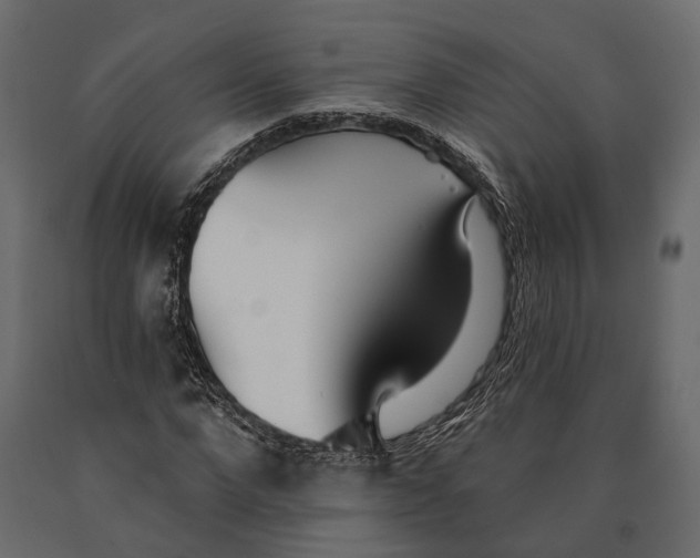 X0000090460872200708031239