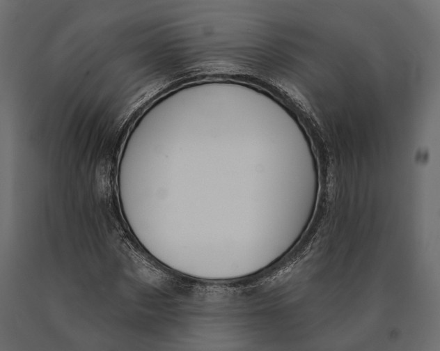 X0000090460873200708031239