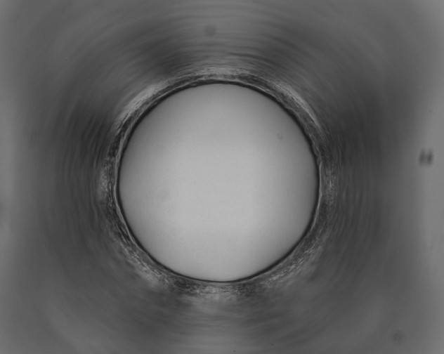 X0000090460874200708031239