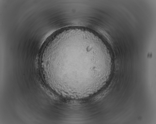 X0000090460875200708031239