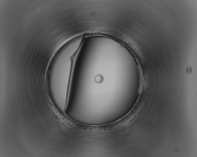 X0000090460876200708031239