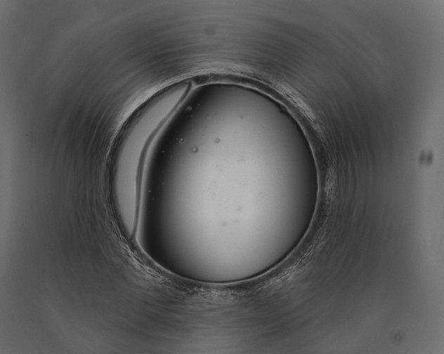 X0000090460877200708031239