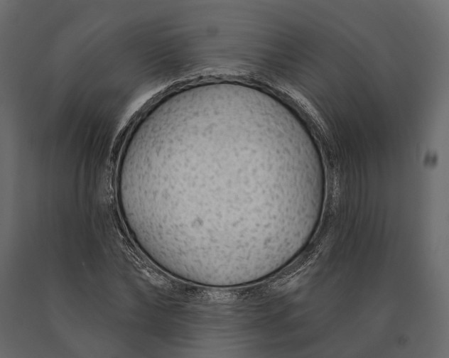 X0000090460878200708031239