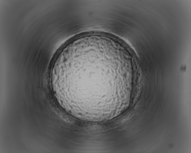 X0000090460879200708031239