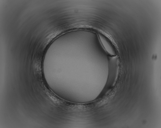 X0000090460881200708031239