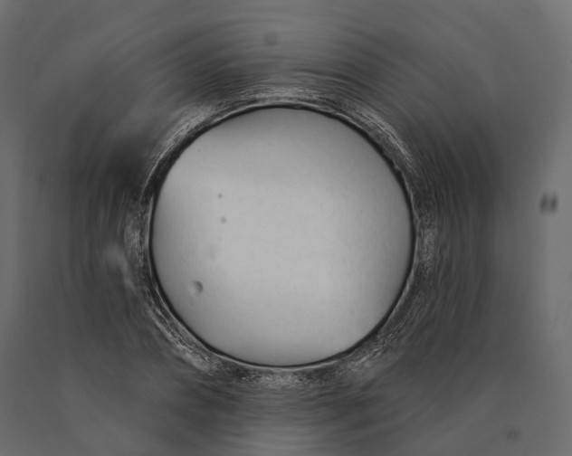 X0000090460882200708031239