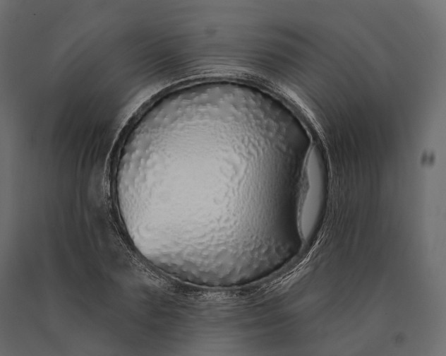 X0000090460883200708031239