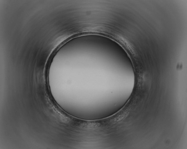X0000090460884200708031239