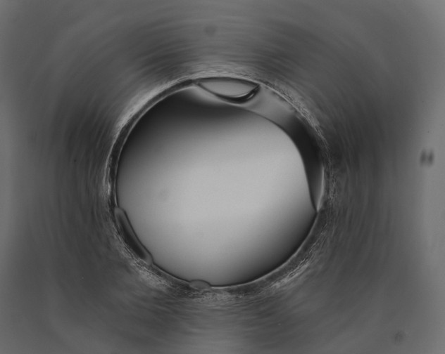X0000090460885200708031239