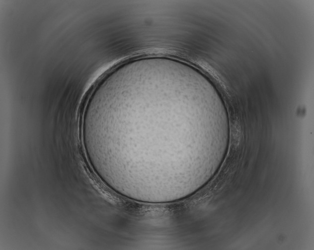 X0000090460886200708031239