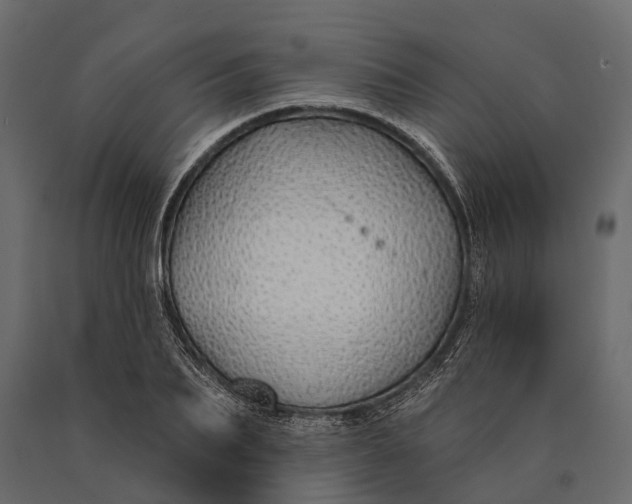 X0000090460887200708031239