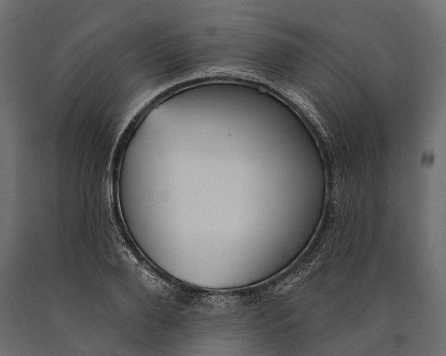 X0000090460888200708031239
