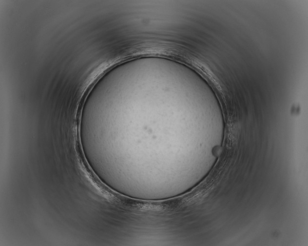 X0000090460890200708031239