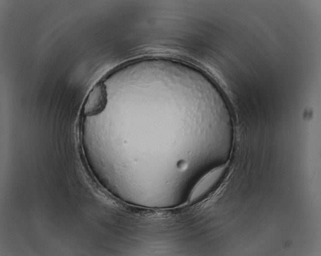 X0000090460891200708031239
