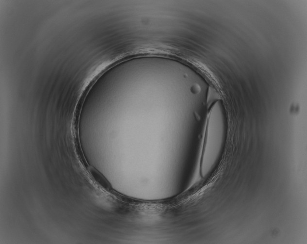 X0000090460893200708031239