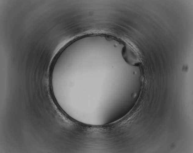 X0000090460894200708031239