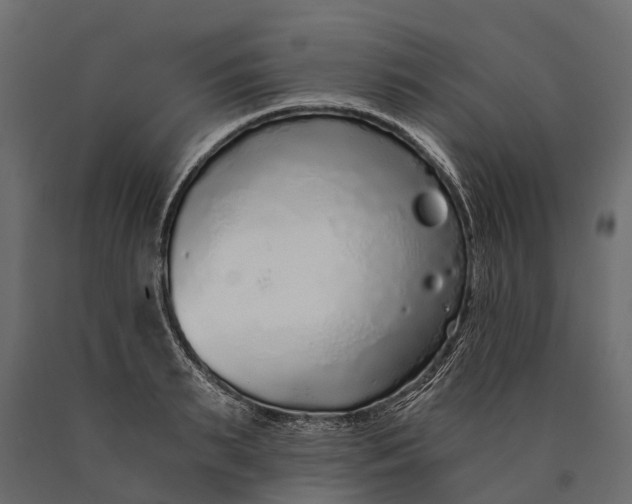 X0000090460895200708031238
