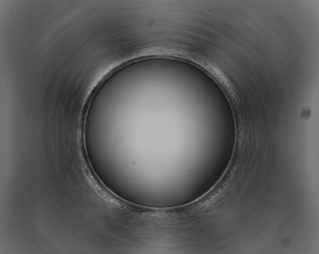 X0000090460896200708031238