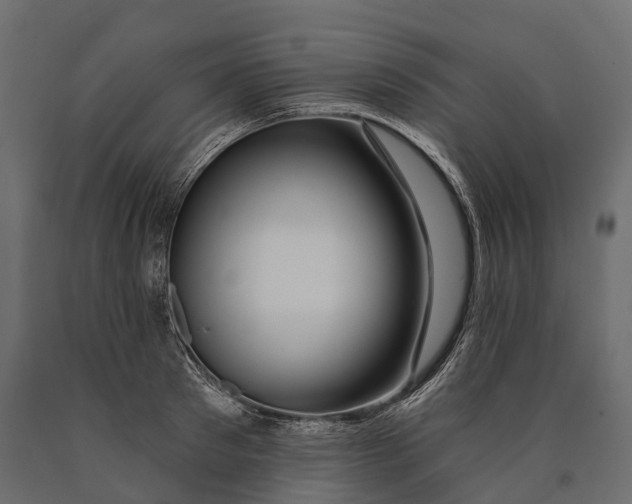 X0000090460897200708031238