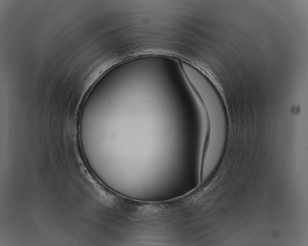 X0000090460898200708031238