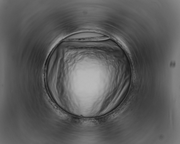 X0000090460899200708031238