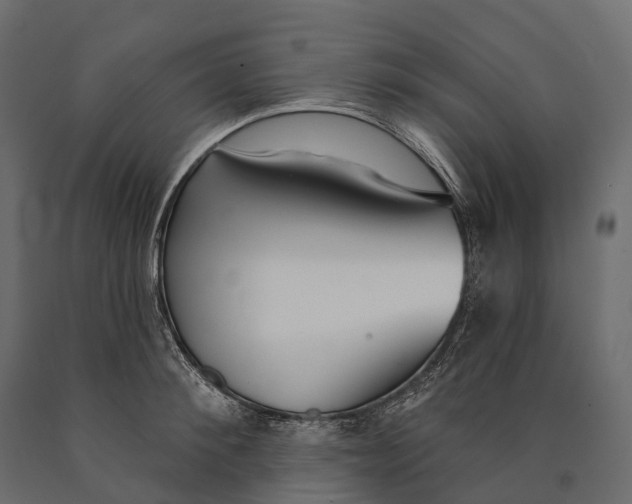 X0000090460900200708031238