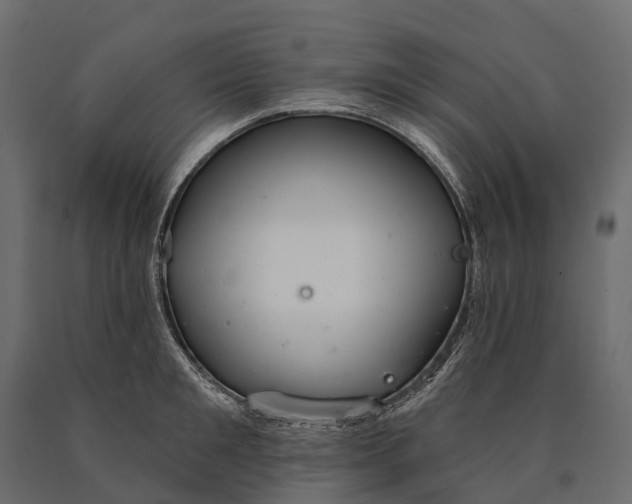 X0000090460901200708031238
