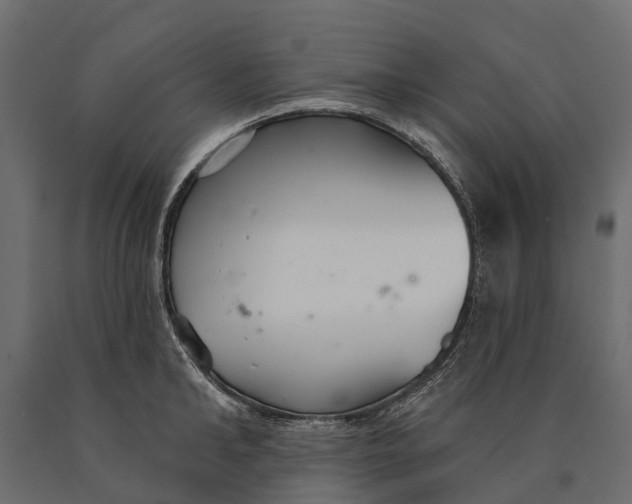 X0000090460902200708031238
