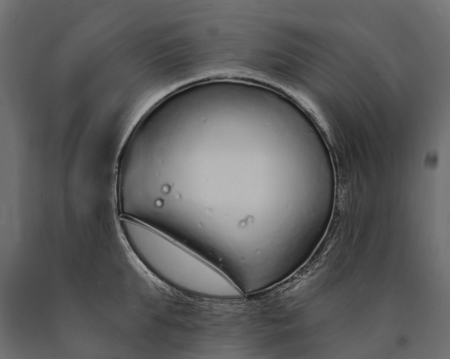 X0000090460903200708031238