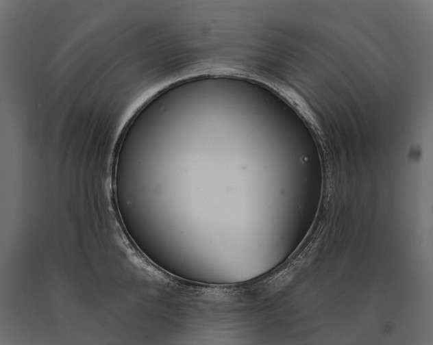 X0000090460904200708031238