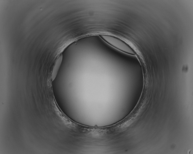 X0000090460905200708031238