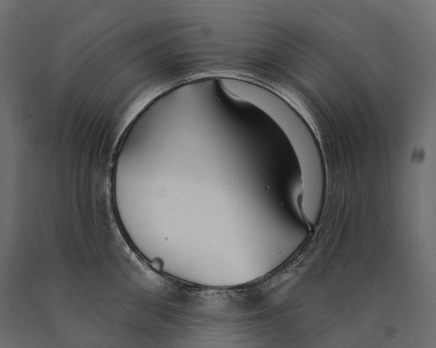 X0000090460906200708031238
