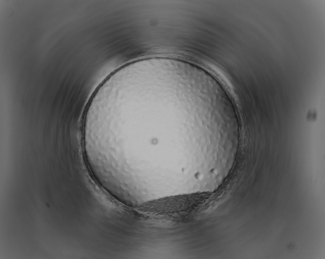 X0000090460907200708031238