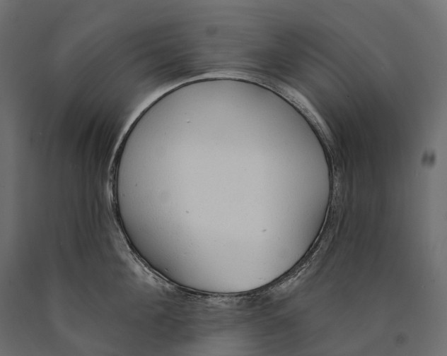 X0000090460908200708031238