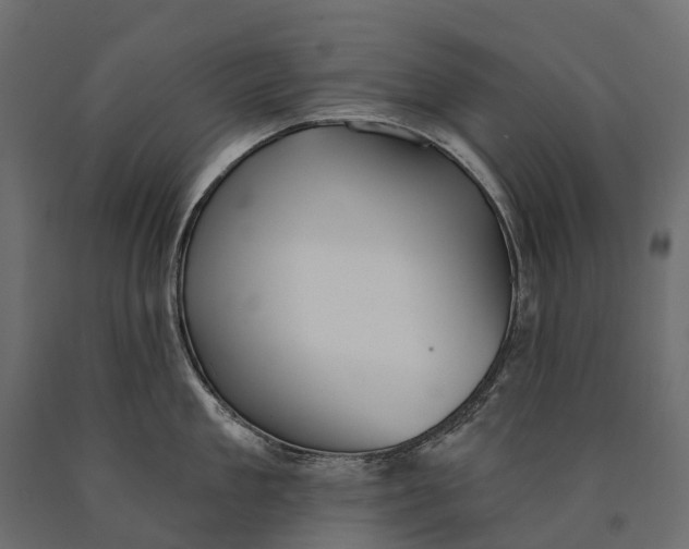 X0000090460909200708031238