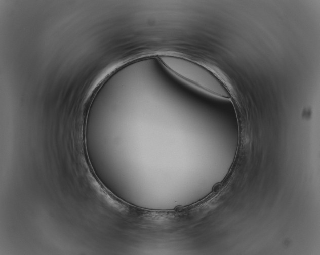 X0000090460910200708031238