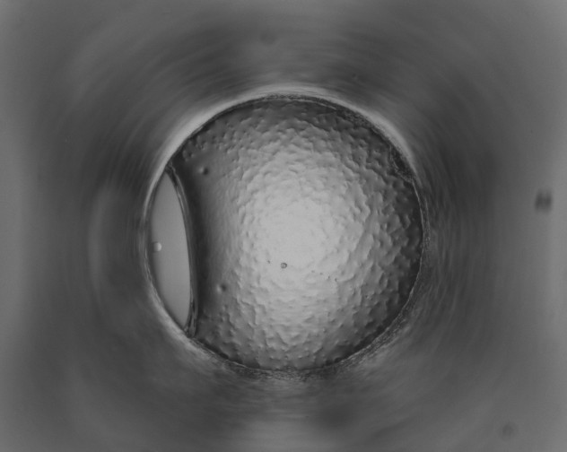 X0000090460911200708031238