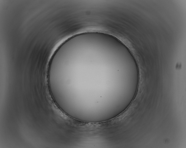 X0000090460912200708031238