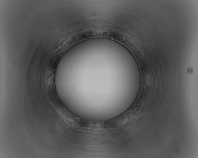 X0000090460914200708031237