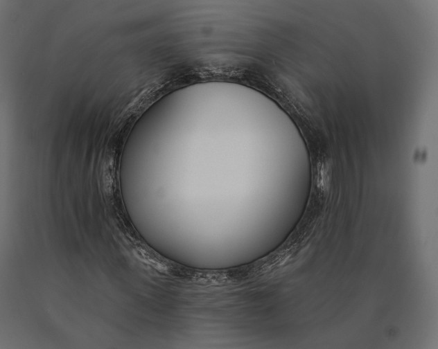 X0000090460915200708031237