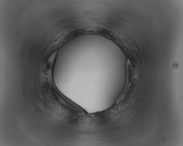 X0000090460916200708031238