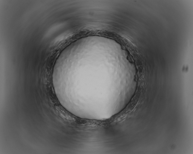 X0000090460917200708031238