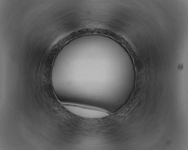 X0000090460919200708031238