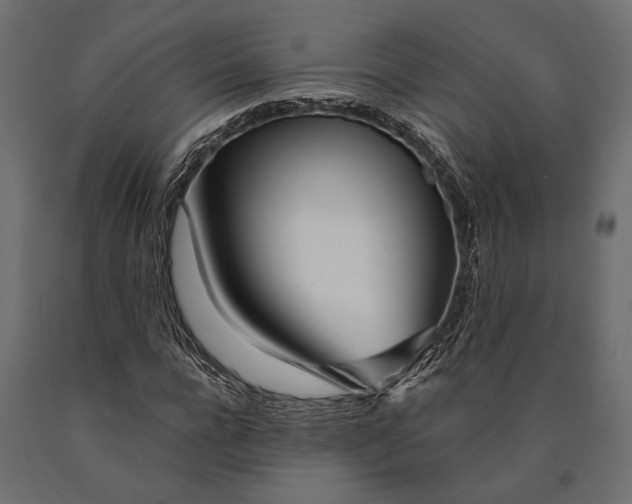 X0000090460920200708031238