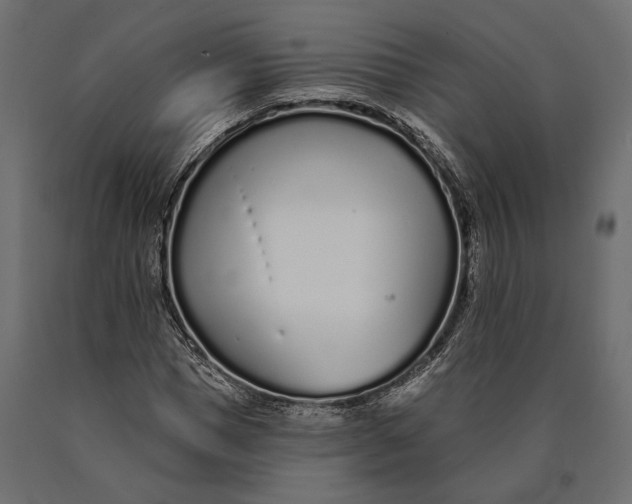 X0000090460921200708031238
