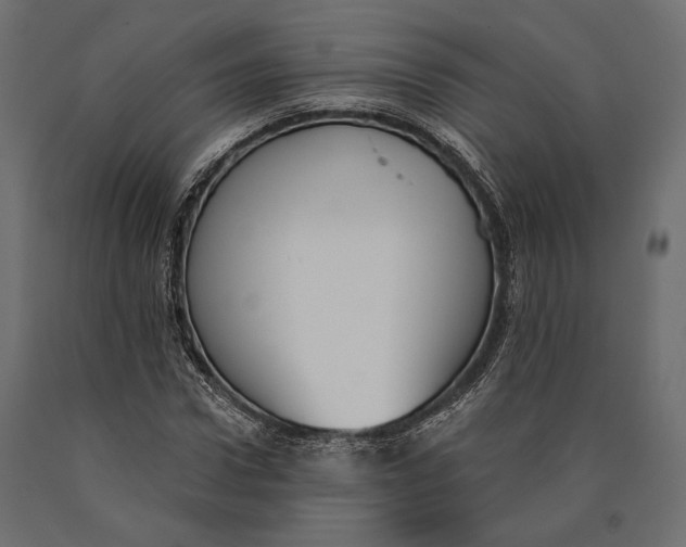 X0000090460922200708031238