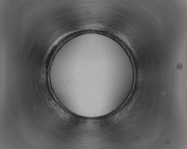 X0000090460923200708031238