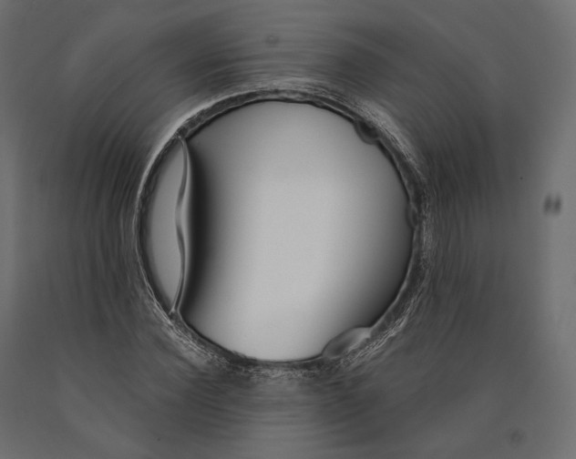 X0000090460924200708031238