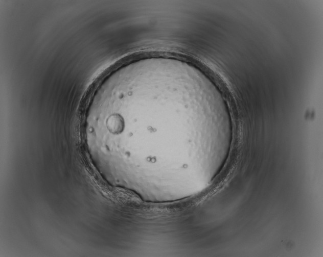 X0000090460925200708031238